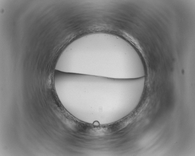 X0000065240065200602171434