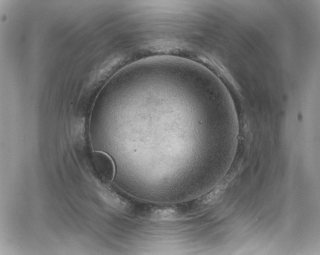 X0000065240066200602171434