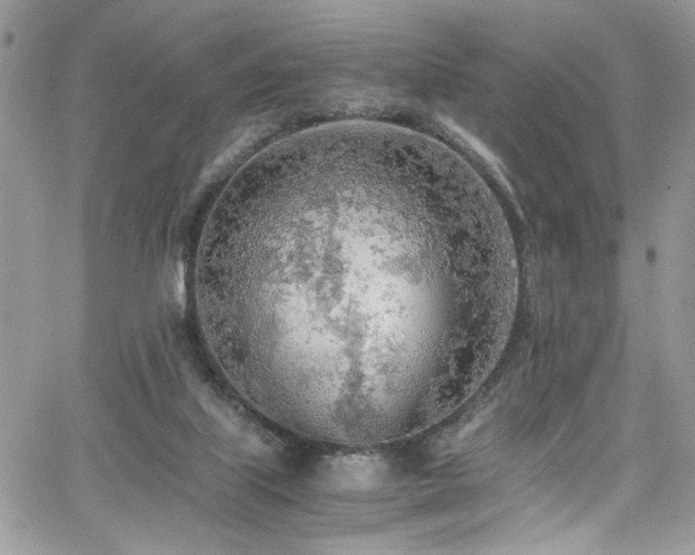 X0000065240067200602171434