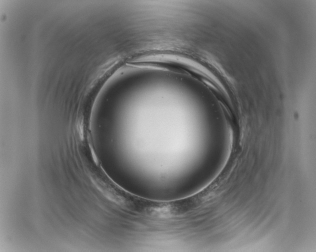 X0000065240068200602171434