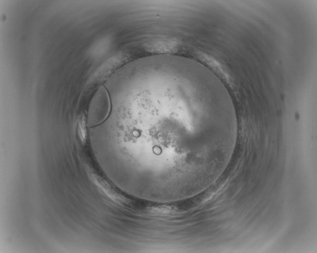 X0000065240069200602171434