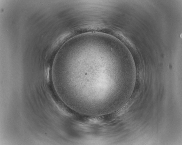 X0000065240070200602171434