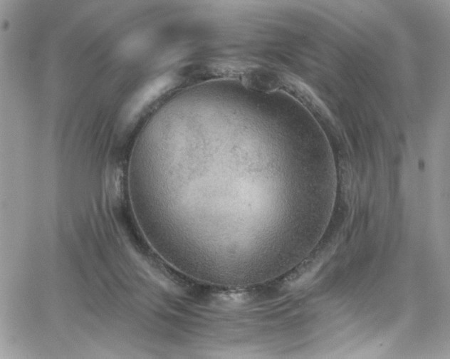 X0000065240071200602171434