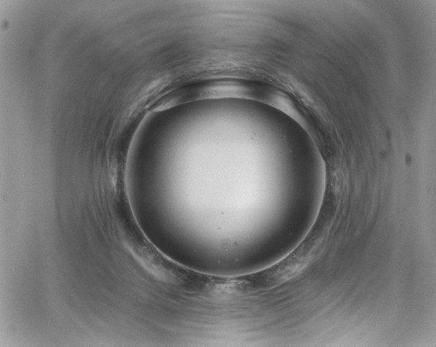 X0000065240072200602171435