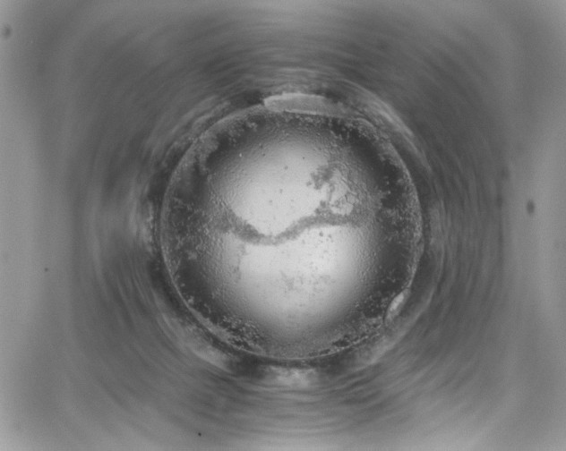 X0000065240073200602171435