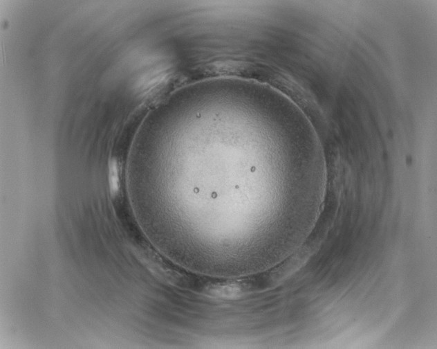 X0000065240075200602171435