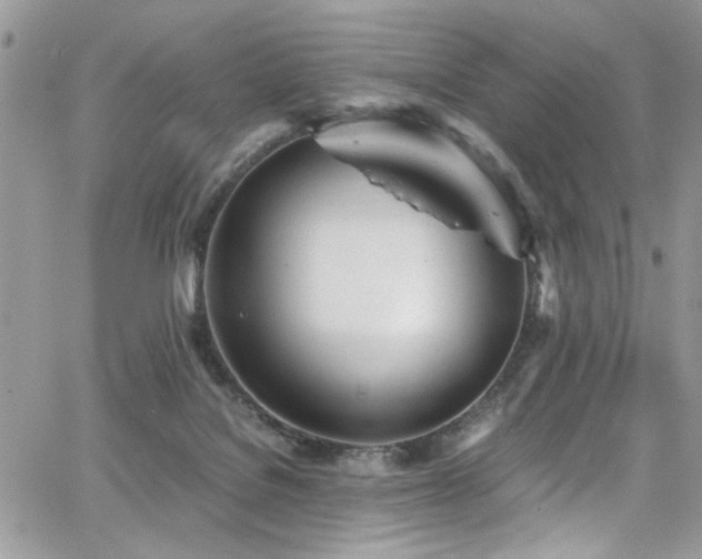 X0000065240076200602171435