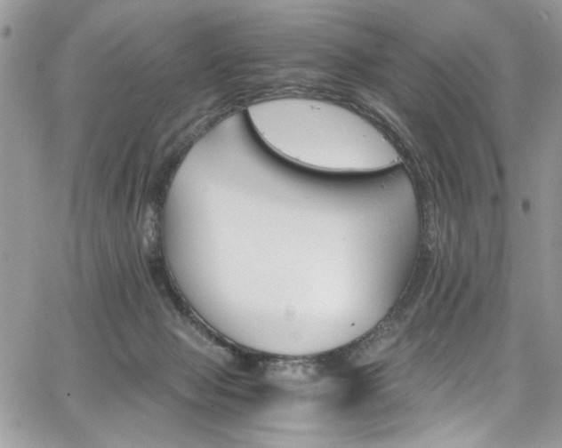 X0000065240077200602171435