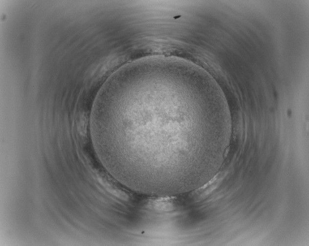 X0000065240078200602171435