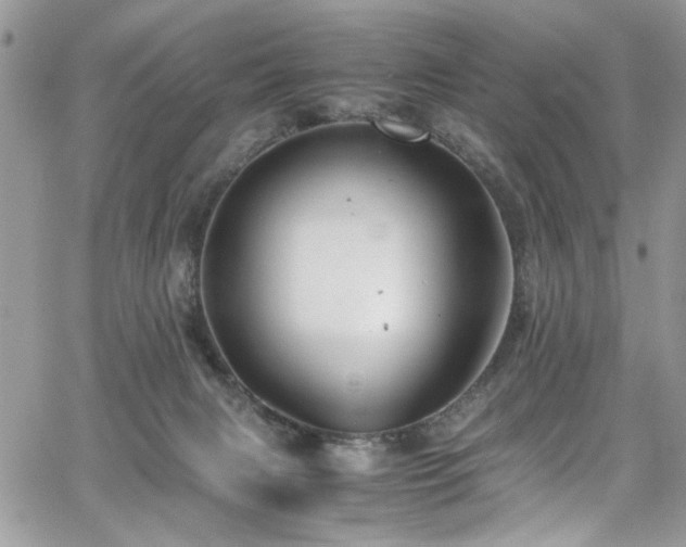 X0000065240079200602171435