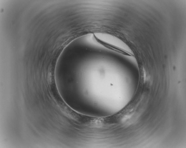 X0000065240080200602171435