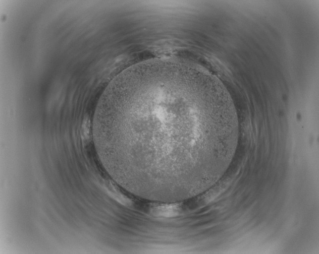 X0000065240081200602171435