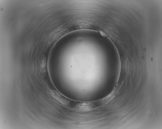 X0000065240082200602171435