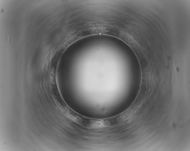 X0000065240083200602171435