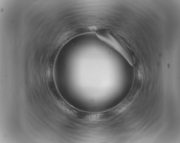 X0000065240084200602171435