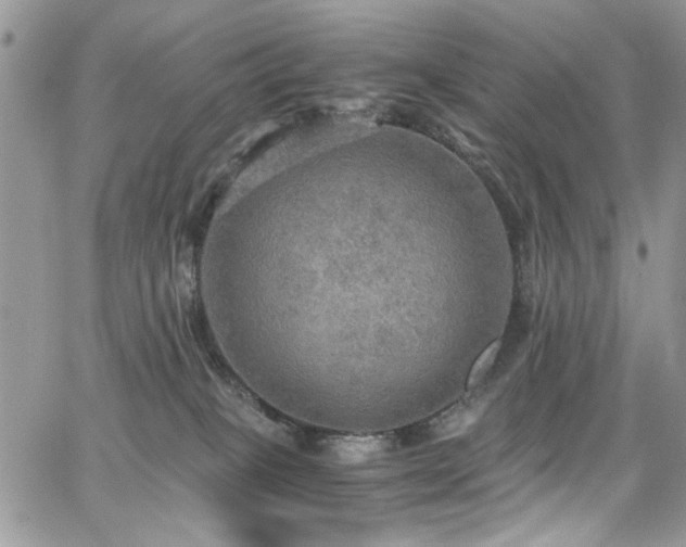 X0000065240085200602171435