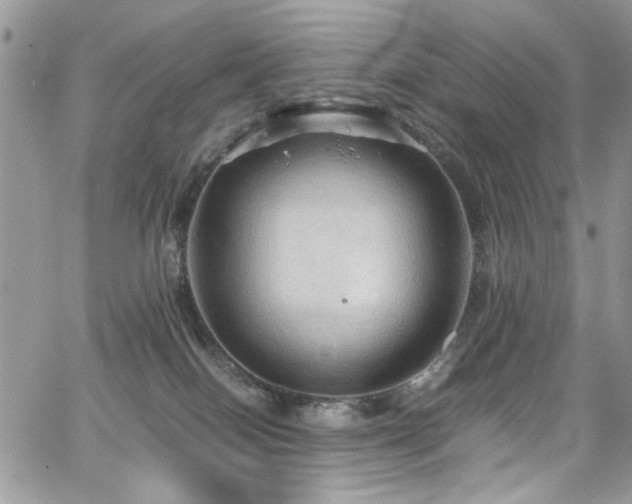 X0000065240086200602171435