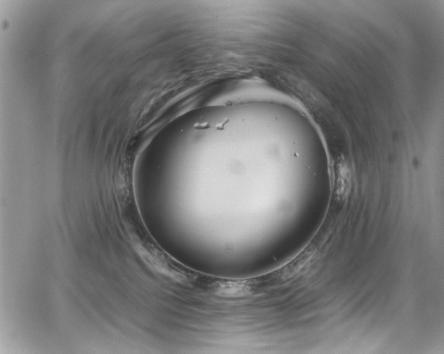 X0000065240088200602171435