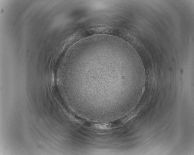 X0000065240089200602171435