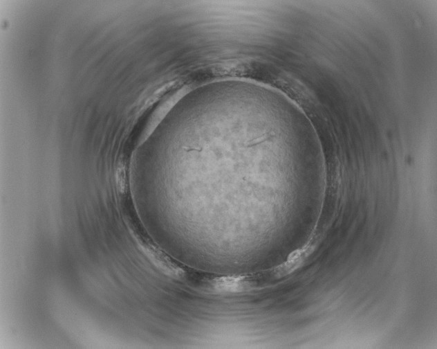 X0000065240090200602171435