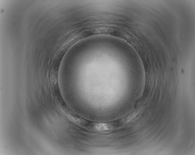 X0000065240091200602171435