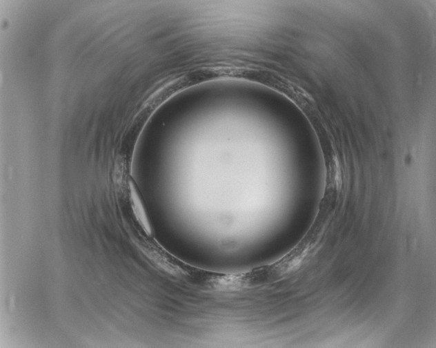 X0000065240092200602171435