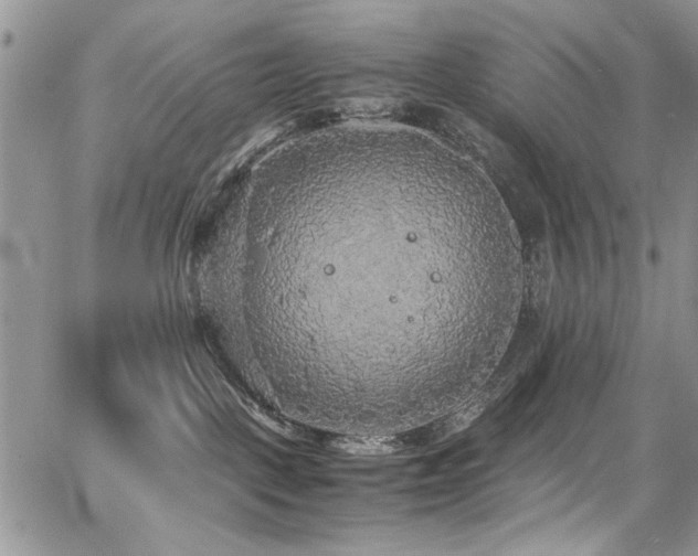 X0000065240093200602171435