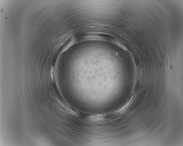 X0000065240094200602171435