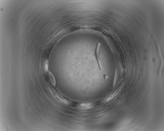 X0000065240095200602171435