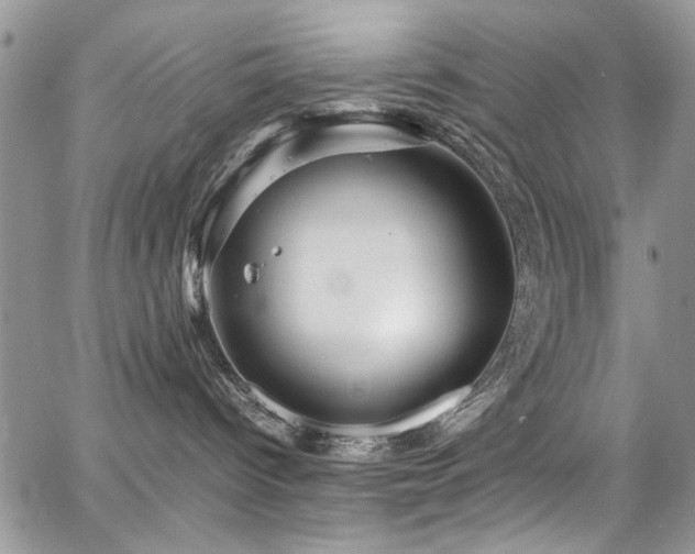 X0000065240096200602171435