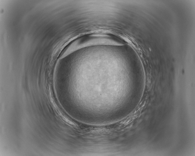 X0000065240097200602171434