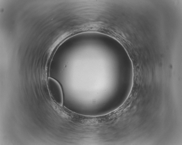 X0000065240100200602171434