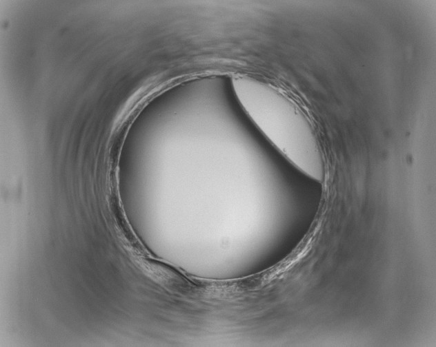 X0000065240101200602171434