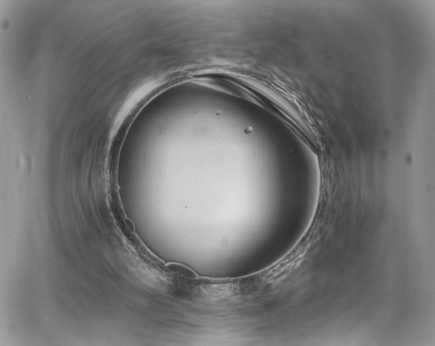 X0000065240102200602171434