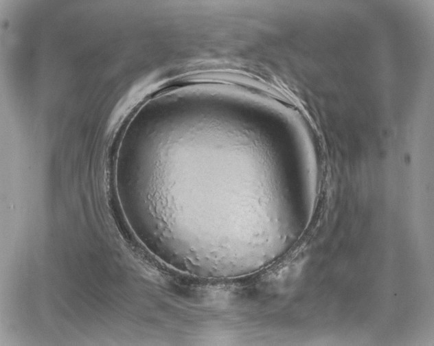 X0000065240103200602171434