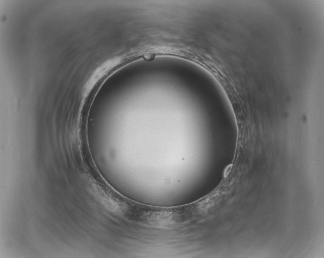 X0000065240104200602171434