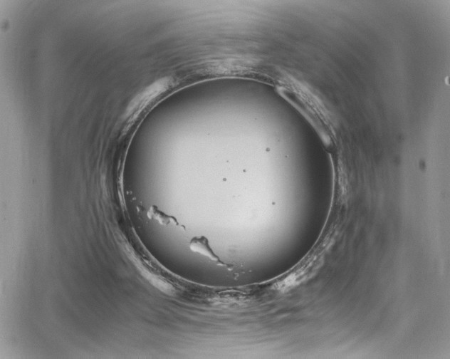 X0000065240105200602171434