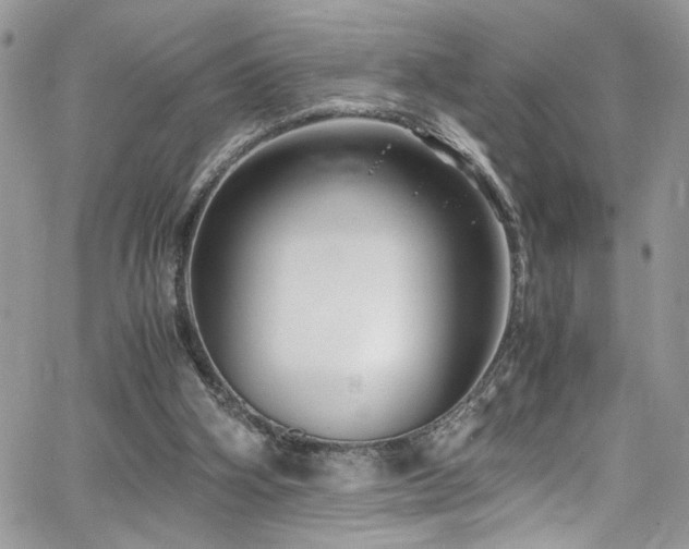 X0000065240106200602171434