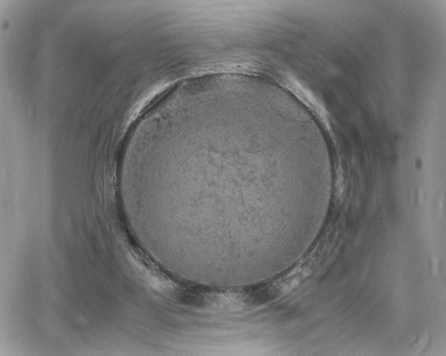 X0000065240107200602171434