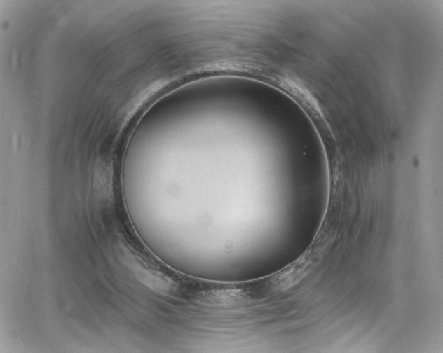 X0000065240108200602171434