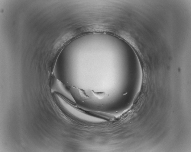 X0000065240109200602171434