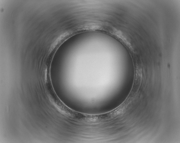 X0000065240110200602171434