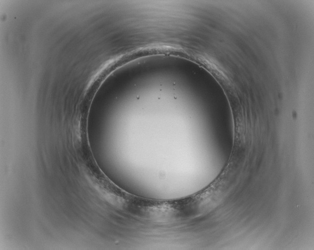 X0000065240112200602171434