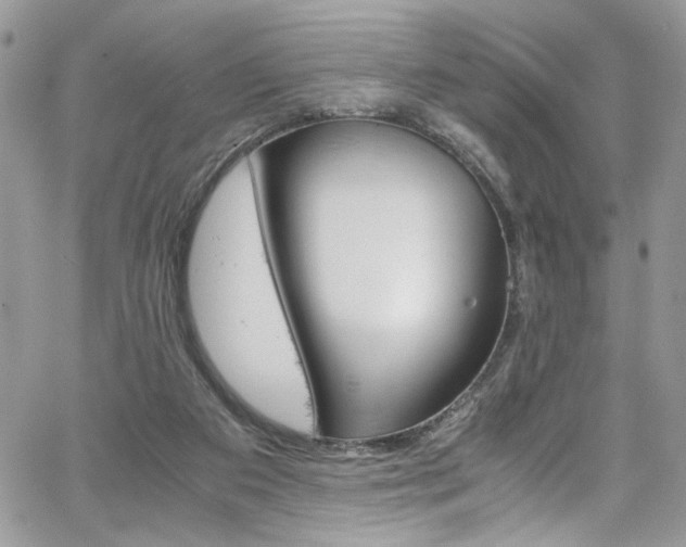 X0000065240113200602171434