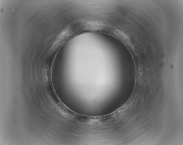 X0000065240114200602171434