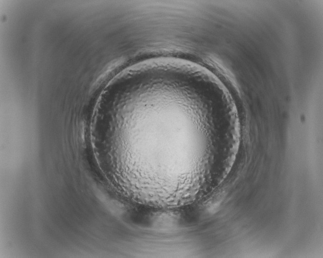 X0000065240115200602171434