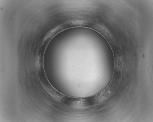 X0000065240116200602171434