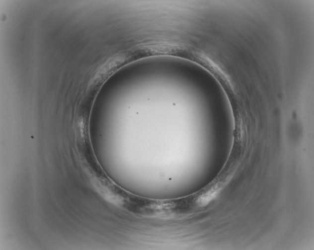 X0000065240117200602171434