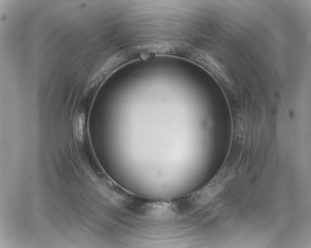 X0000065240118200602171434