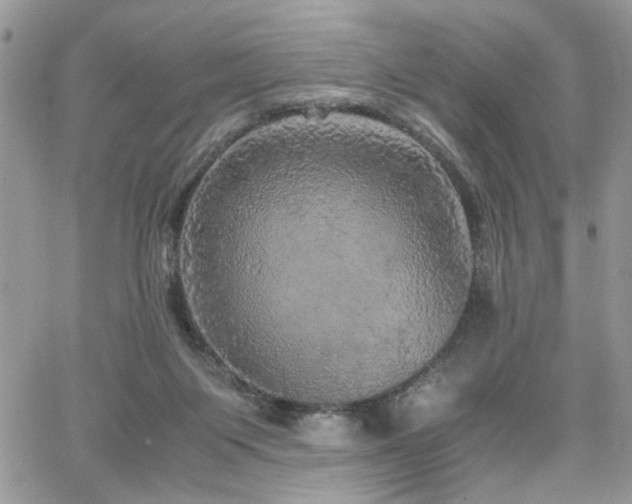 X0000065240119200602171434